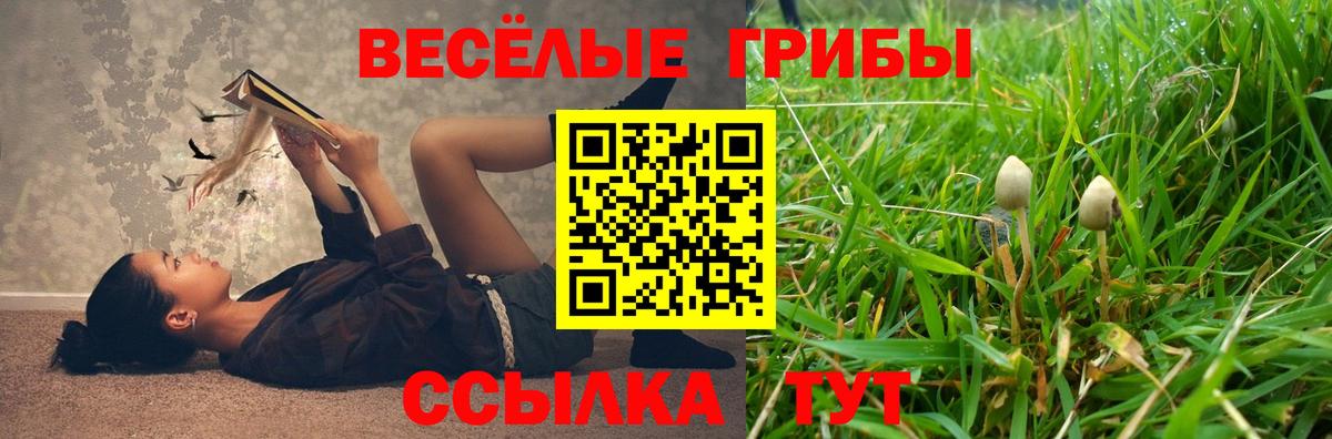Псилоцибиновые грибы Cubensis  Галлюциногенные грибы ЛСД  где продают наркотики  Вход с VPN  Бугуруслан 